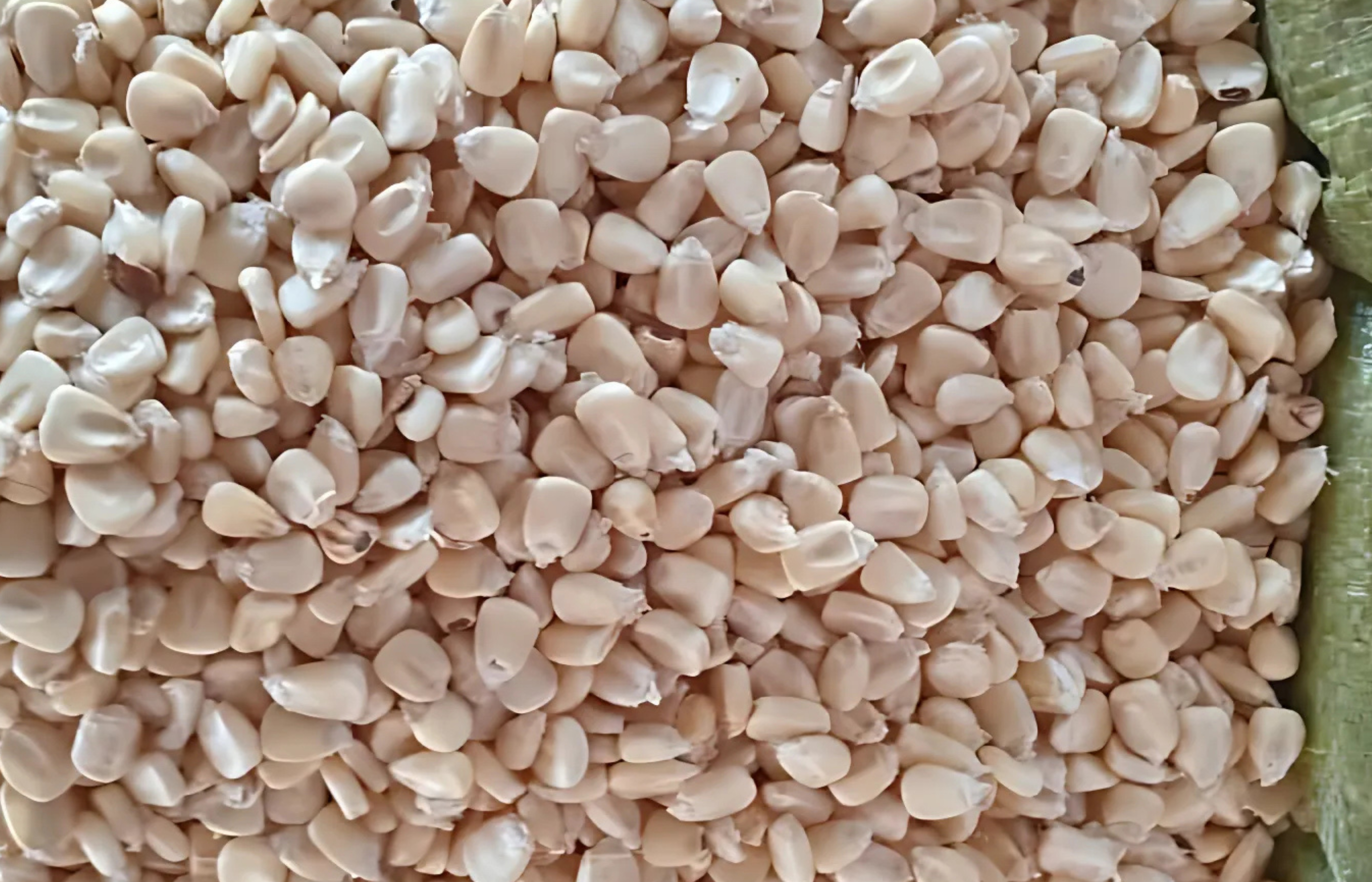 price_e4504f6ab278458b4588f61cacb3a65a.jpg